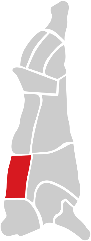 Antrikot